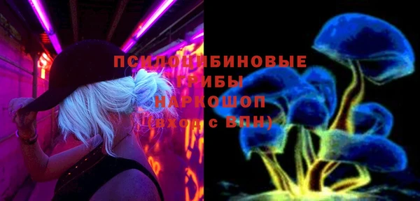метадон Алексин
